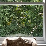 bay sash wiindow banner